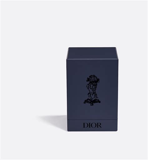 dior snow globe|Snow Globe Blue Bobby .